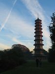 15484 Jenni and Hans walking to Pagoda.jpg